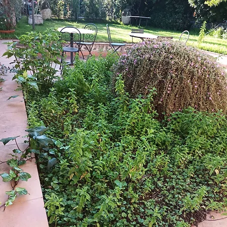 Aresco ベッド・アンド・ブレックファスト マスカルチーア