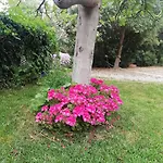 Bed & Breakfast Aresco