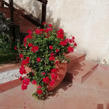 Panzió Aresco Mascalucia