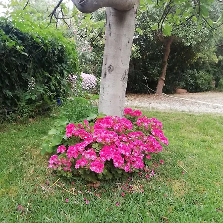 Panzió Aresco